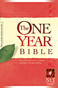 NLT Softcover